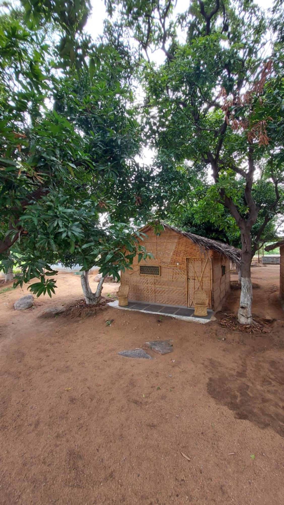 Sunrise Guest House & Restaurant Hampi Bilik gambar
