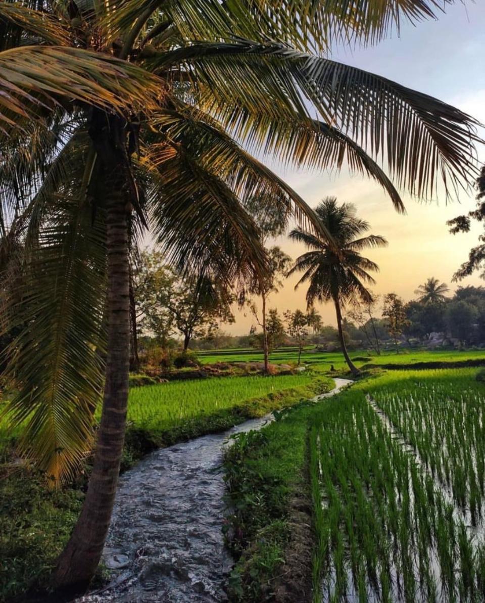 Sunrise Guest House & Restaurant Hampi Luaran gambar