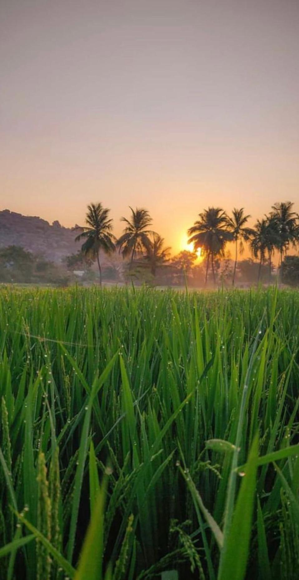 Sunrise Guest House & Restaurant Hampi Luaran gambar